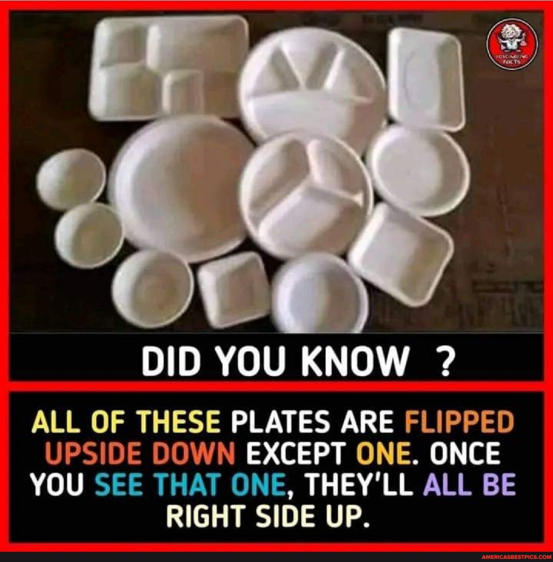 DID YOU KNOW ? ALL OF THESE PLATES ARE FLIPPED UPSIDE DOWN EXCEPT ONE