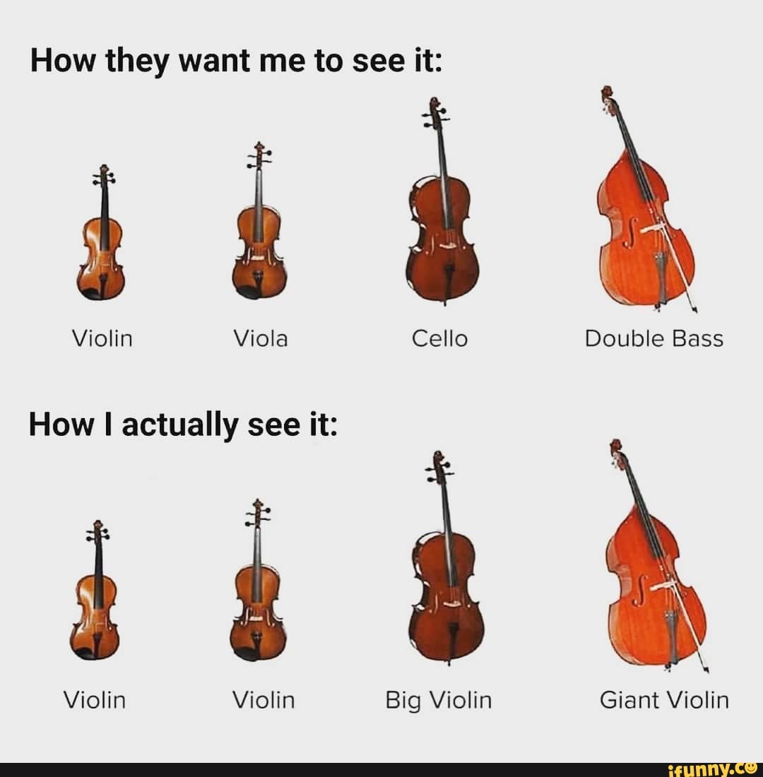 Rund afbalanceret Fortryd How they want me to see it: Violin Viola Cello Double Bass How actually see  it: Violin Violin Big Violin Giant Violin - iFunny