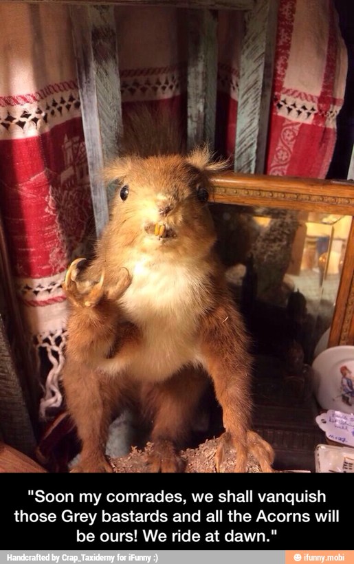 "Soon my comrades, we shall vanquish
those Grey bastards and all the Acorns will
be ours! We ride at dawn." - "Soon my comrades, we shall vanquish those Grey bastards and all the Acorns will be ours! We ride at dawn."