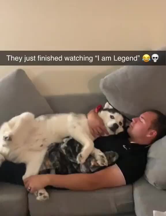 They Just Finished Watching I Am Legend Ifunny