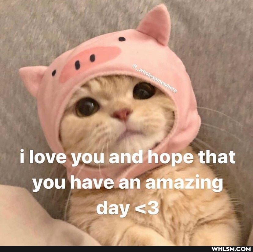 i love you and hope that you have an amazing day <3