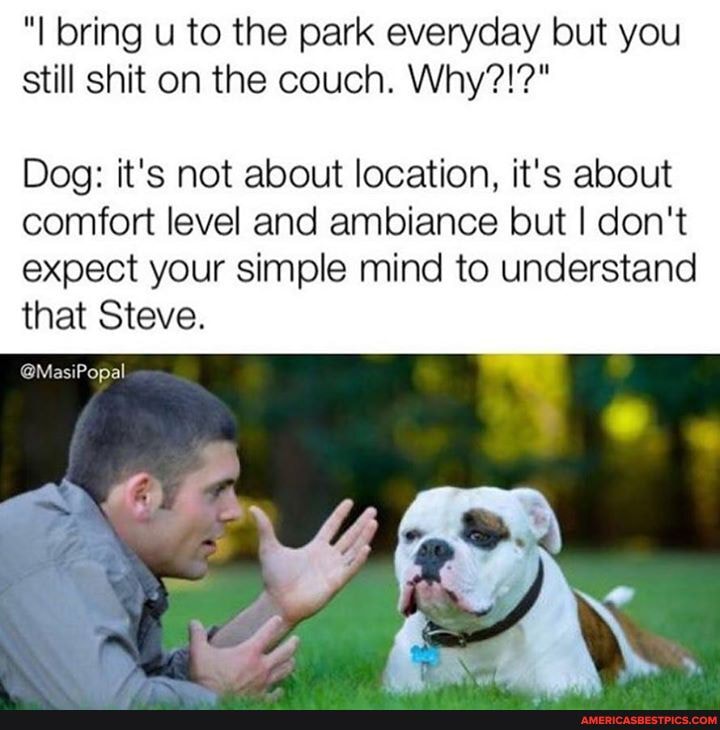 "I bring u to the park everyday but you still shit on the couch. Why?!?"
Dog: it's not about location, it's about comfort level and ambiance but I don't expect your simple mind to understand that Steve.
@MasiPopal