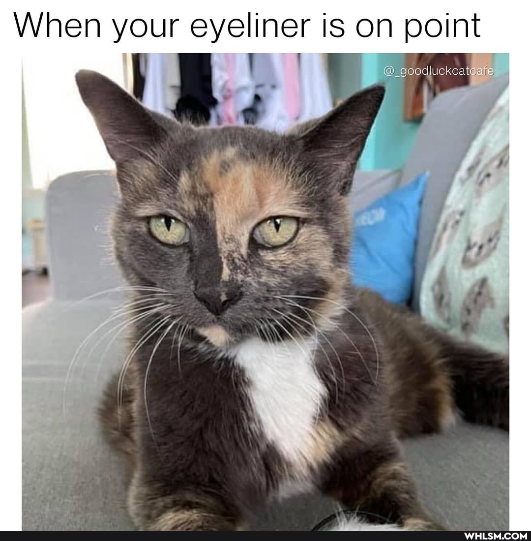When your eyeliner is on point