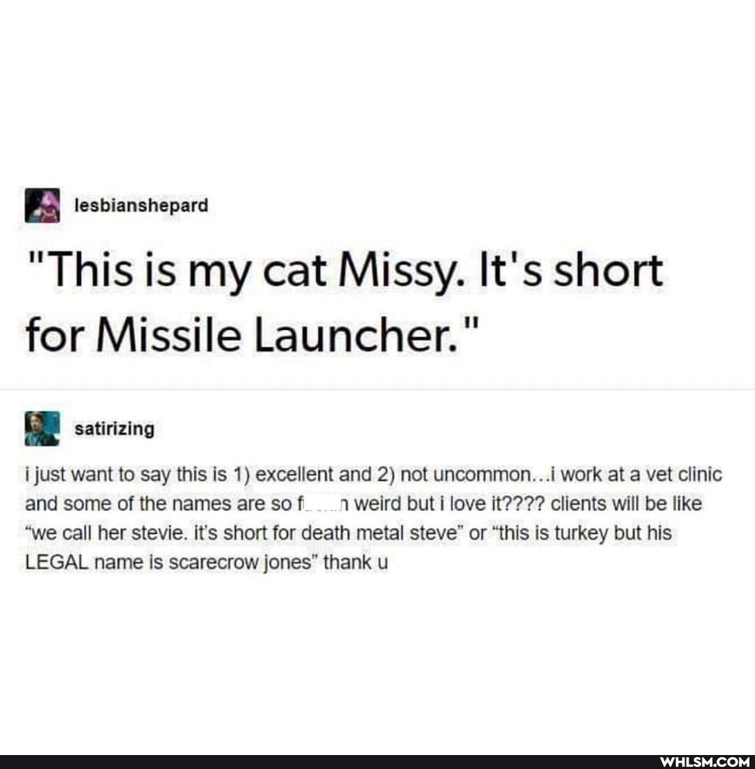 BB lesbianshepard
"This is my cat Missy. It's short for Missile Launcher."
satirizing
i just want to say this is 1) excellent and 2) not uncommon. ..i work at a vet clinic and some of the names are so .1 weird but i love it???? clients will be like
"we call her stevie. it's short for death metal steve" or "this is turkey but his
LEGAL name Is scarecrow jones" thank u