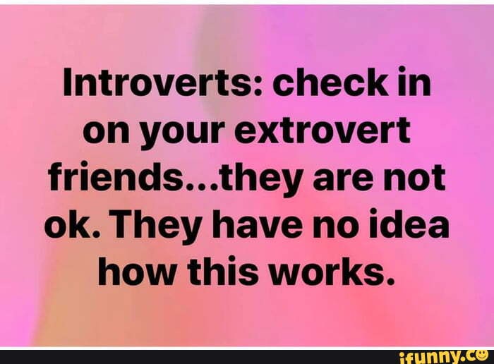 Introverts: check in on your extrovert friends...they are not ok. They ...