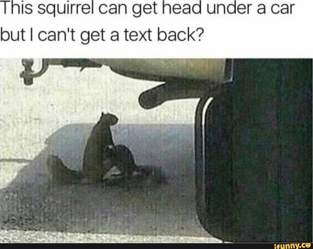 549648f7037685175c413de1f60e8c9922f04ce5525bb451b0007e0685b101b2_1.jpg