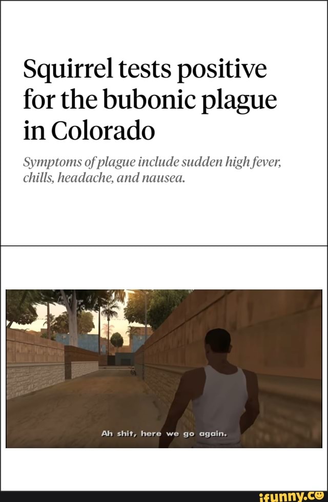 Squirrel tests positive
for the bubonic plague
in Colorado
Symptoms of plague include sudden high fever,
chills, headache, and nausea.
Ah shit, here we go again.