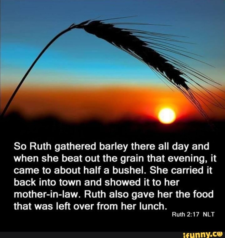 SS So Ruth gathered barley there all day and when she beat out the ...