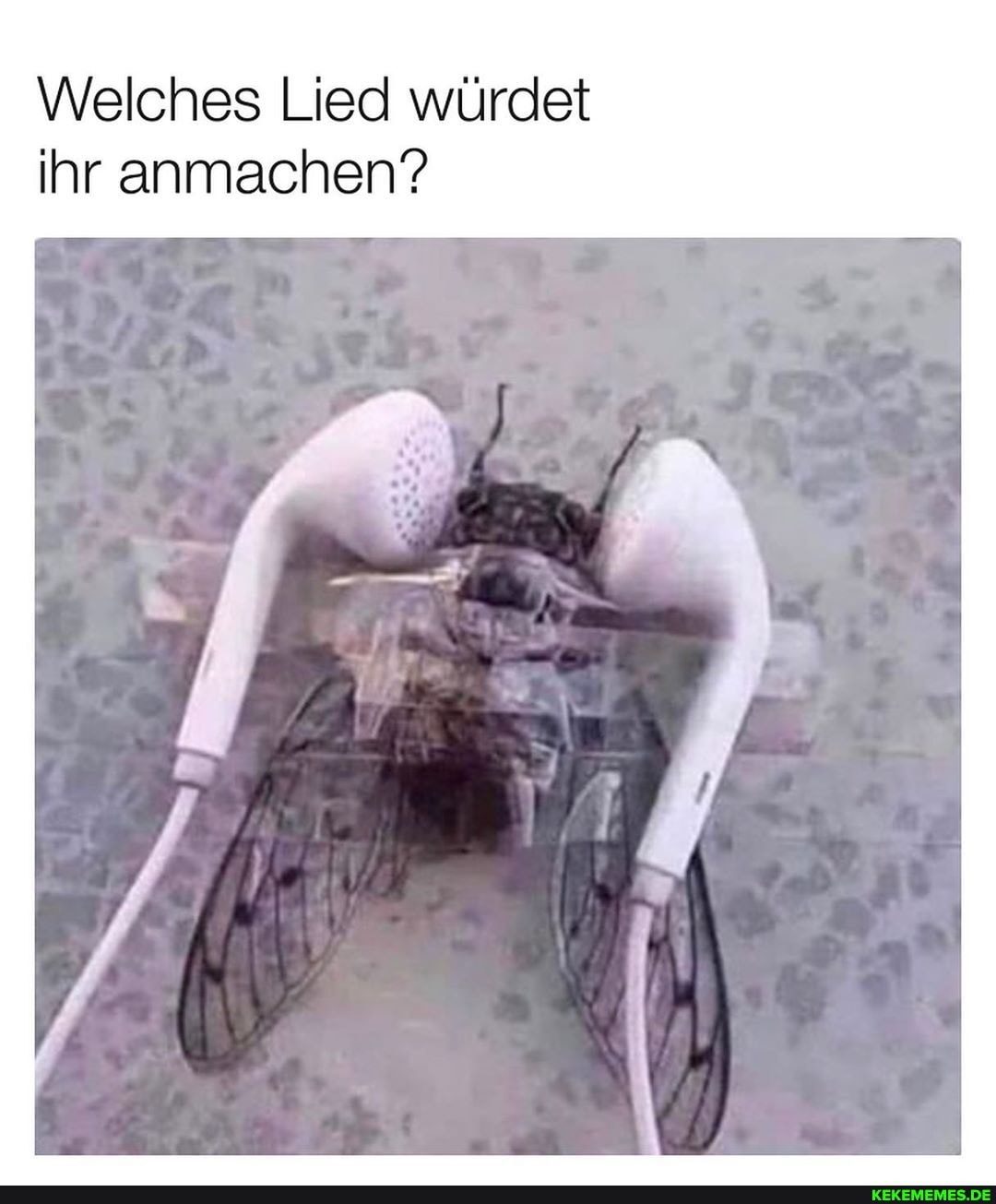 Welches Lied würdet ihr anmachen?