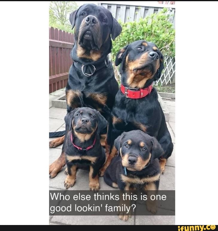 Who else thinks this is one
good family?