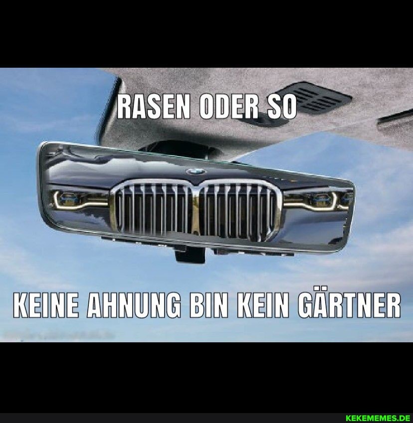 RASEN ODER SO
KEINE AHNUNG BIN KEIN GÄRTNER