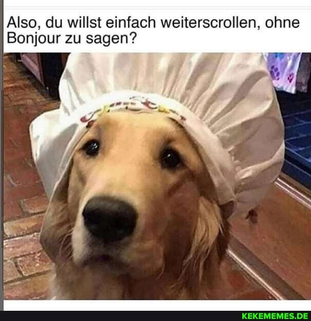 Also, du willst einfach weiterscrollen, ohne
Bonjour zu sagen?