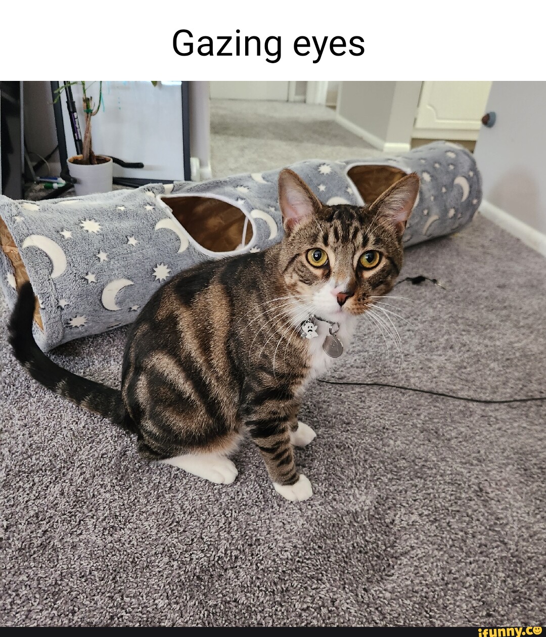 Gazing memes. Best Collection of funny Gazing pictures on iFunny