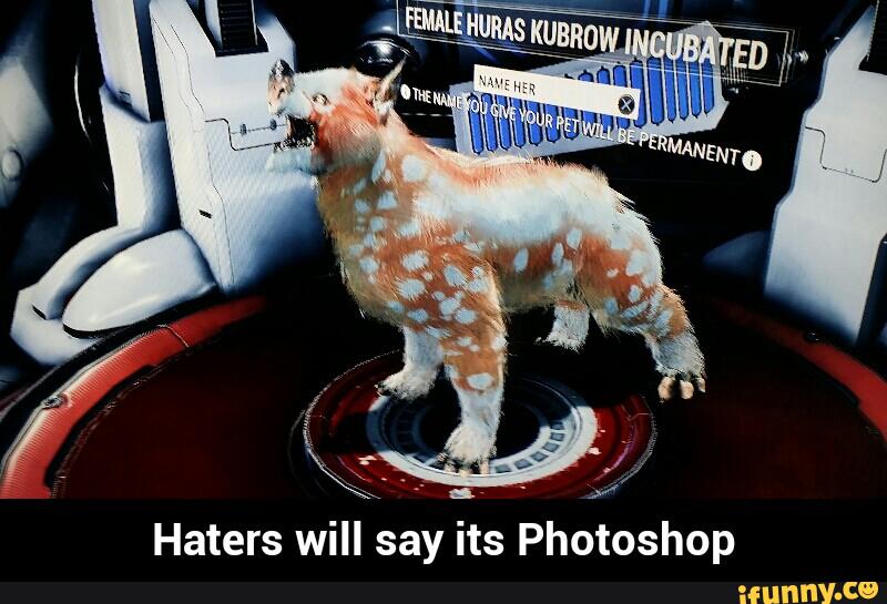 Haters will say its Photoshop
