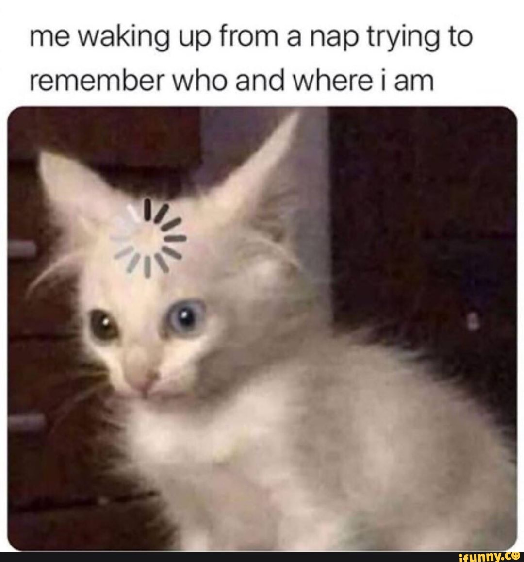 me waking up from a nap trying to
remember who and where i am