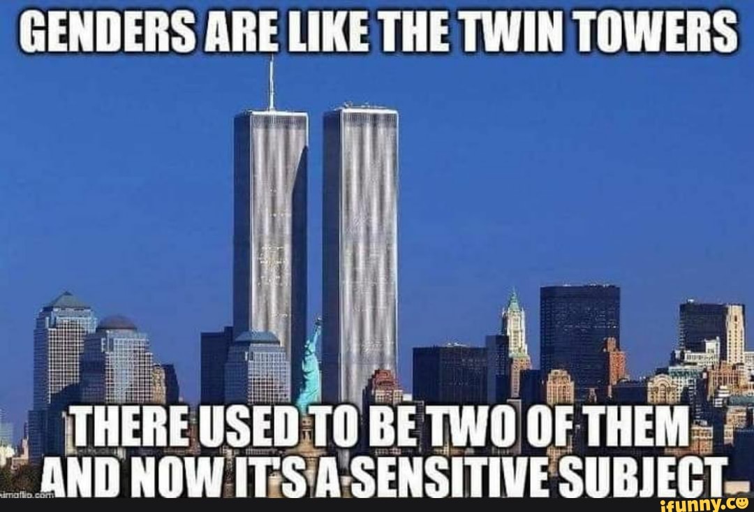 Книга про 11 сентября. Башня близнецов книга. Башня близнецов книга. Сайфулла мамаев близнецы. Башня близнецов книга.