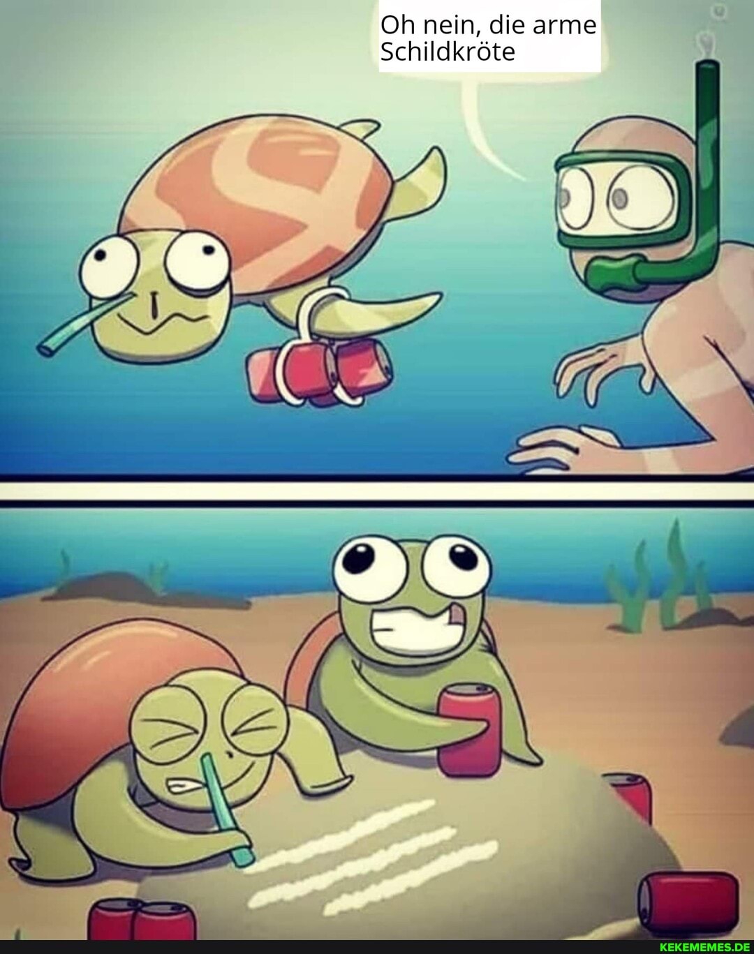Oh nein, die arme
Schildkröte