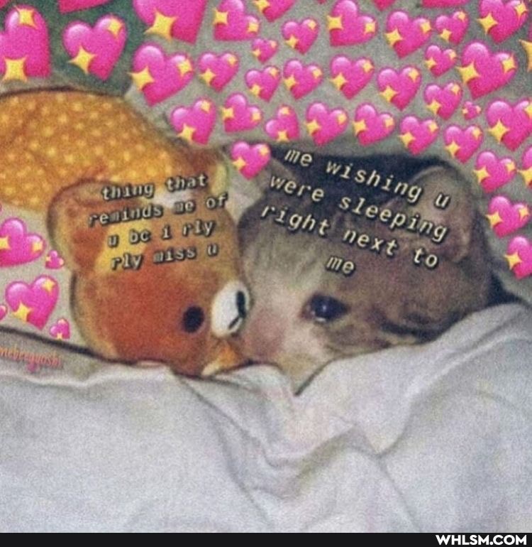 valentines_day, wholesome_memes