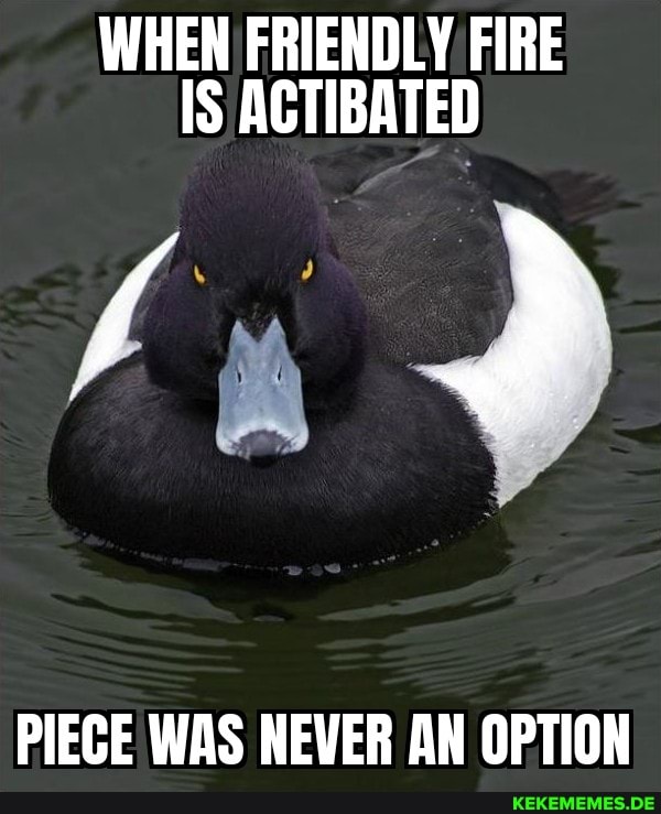 WHEN FRIENDLY FIRE IS ACTIBATED
PIECE WAS NEVER AN OPTION