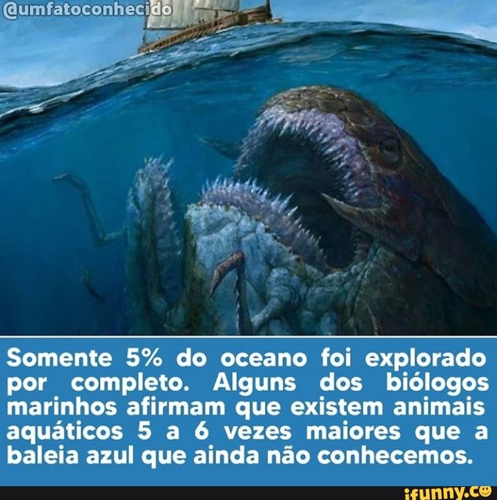 Somente 5% do oceano foi explorado por completo. Alguns dos biólogos marinhos afirmam que existem animais aquáticos 5 a 6 vezes maiores que a baleia azul que ainda não conhecemos.