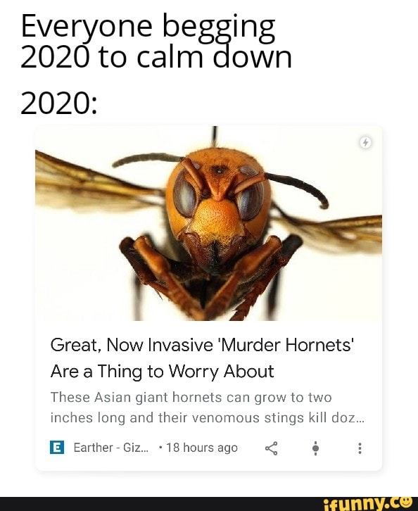 Everyone pegging 2020 to calm down 2020: Great, Now Invasive 'Murder ...