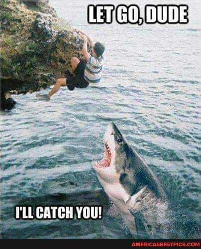 LET GO, DUDE
TLLGATEH YOU!