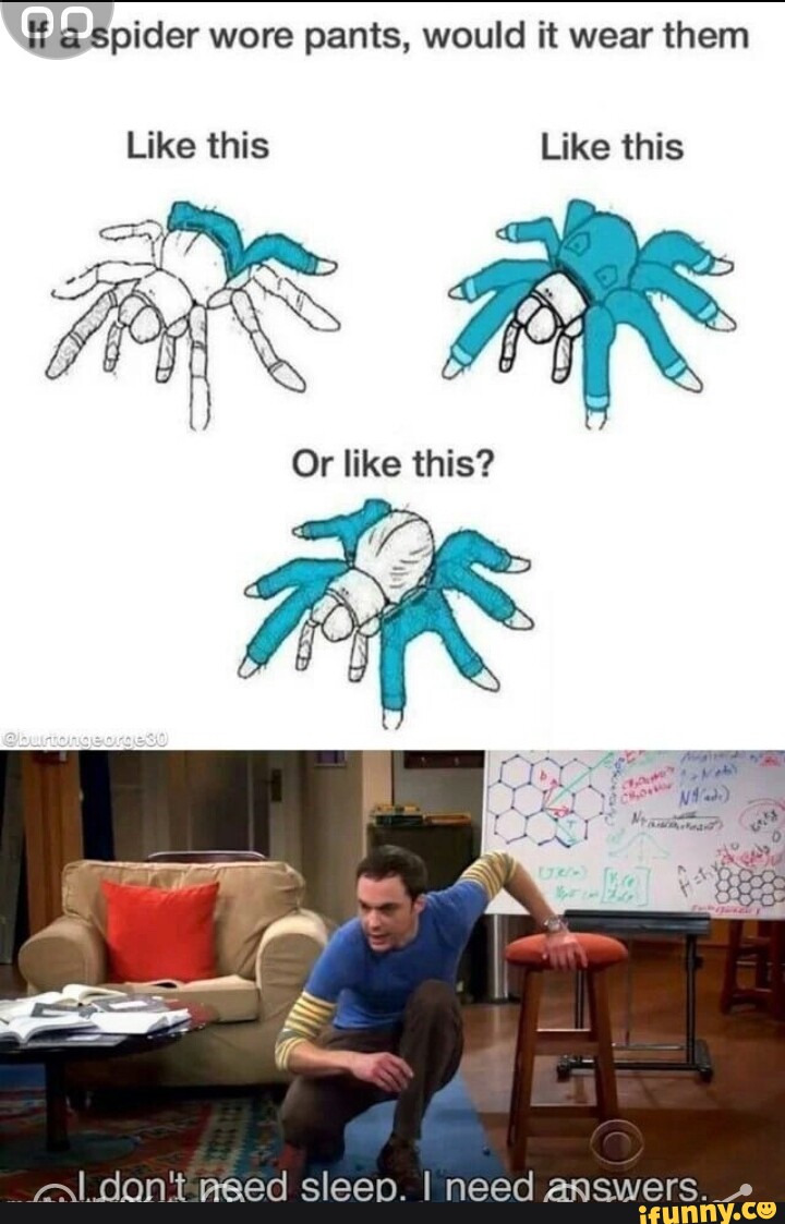 A spider wore pants, would it wear them Like this Like this Or like