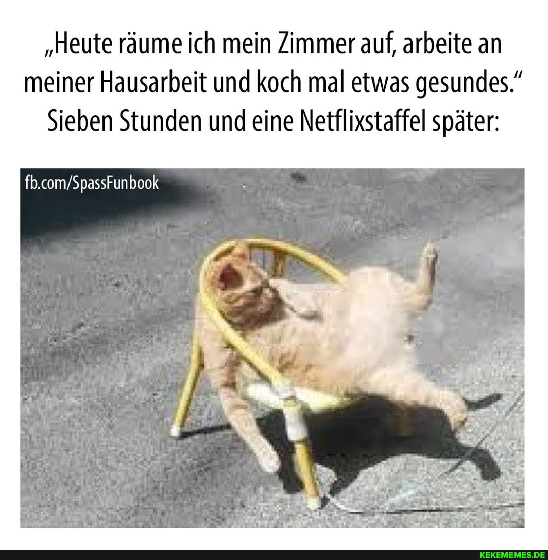 "Heute räume ich mein Zimmer auf, arbeite an meiner Hausarbeit und koch mal etwas gesundes."
Sieben Stunden und eine Netflixstaffel später:
SpassFunbook