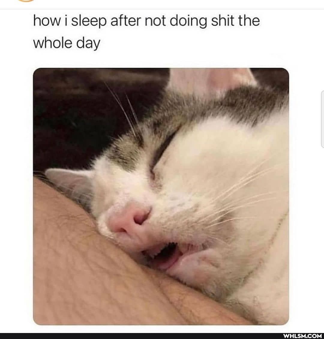 how i sleep after not doing shit the whole day