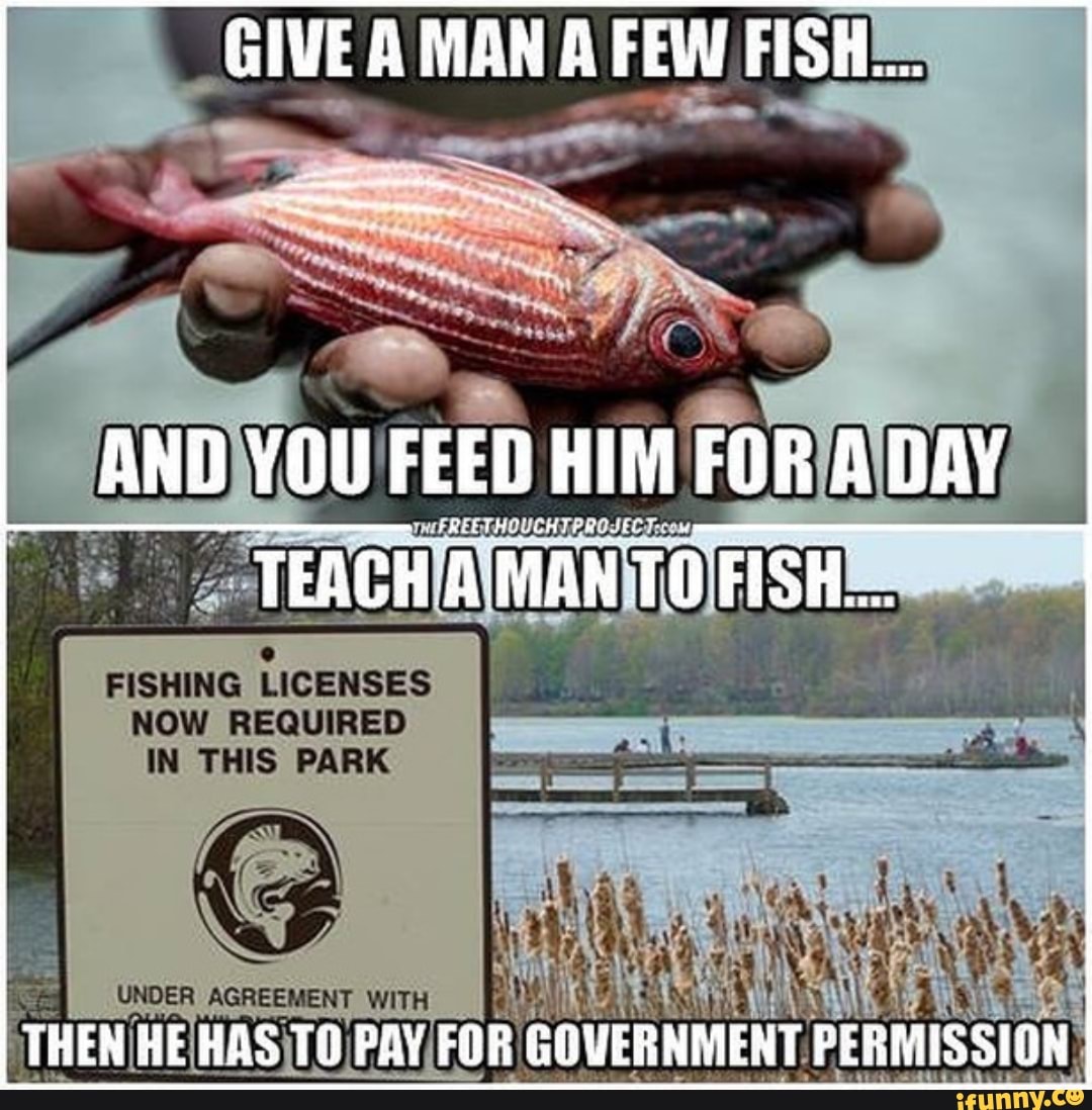 We to fish now. We to fish now. Кафе в новом городе чебоксары fish. We to fish now. Fishing rob.