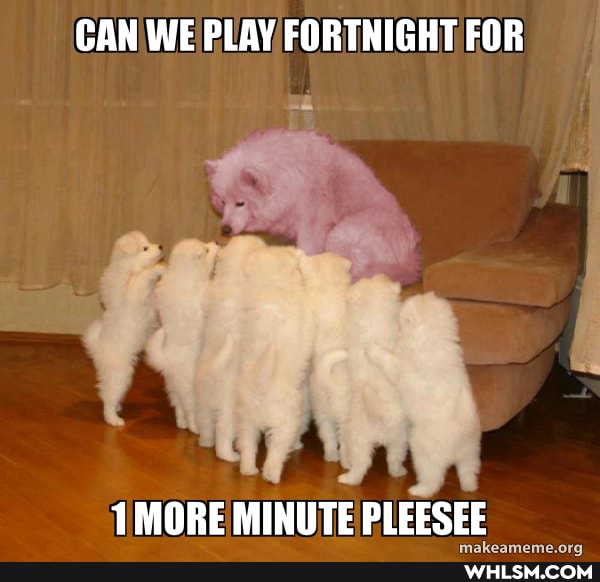 CAN WE PLAY FORTNIGHT FOR
1 MORE MINUTE PLEESEE