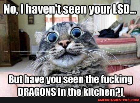 No, Ihaveniseen yourlsp...
But iave you seen the ivckinig
DRAGONS in the kitchen!