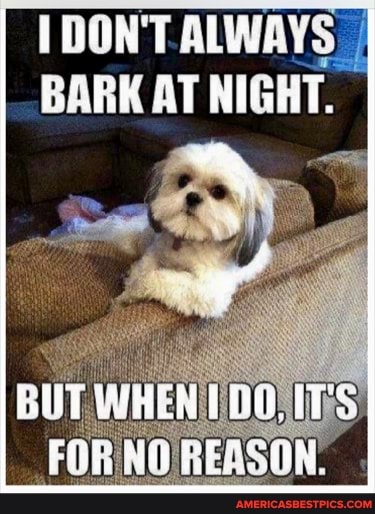 DON'T.ALWAYS
BARK AT NIGHT.