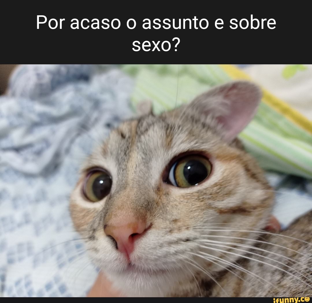 Por acaso o assunto e sobre sexo? - iFunny