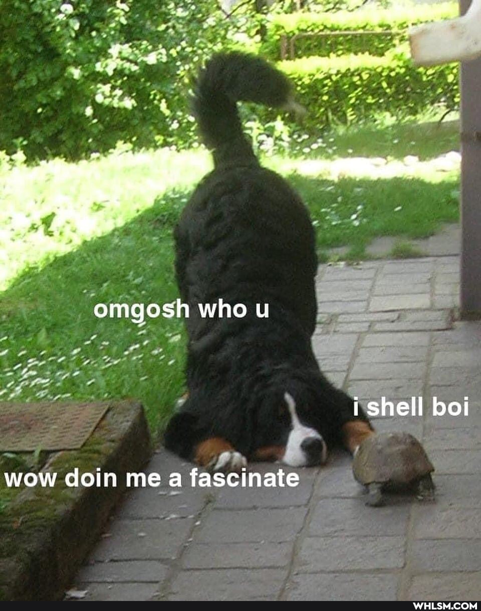 omgosh who u
hell b
is
te
SA
wow
doin me a fa