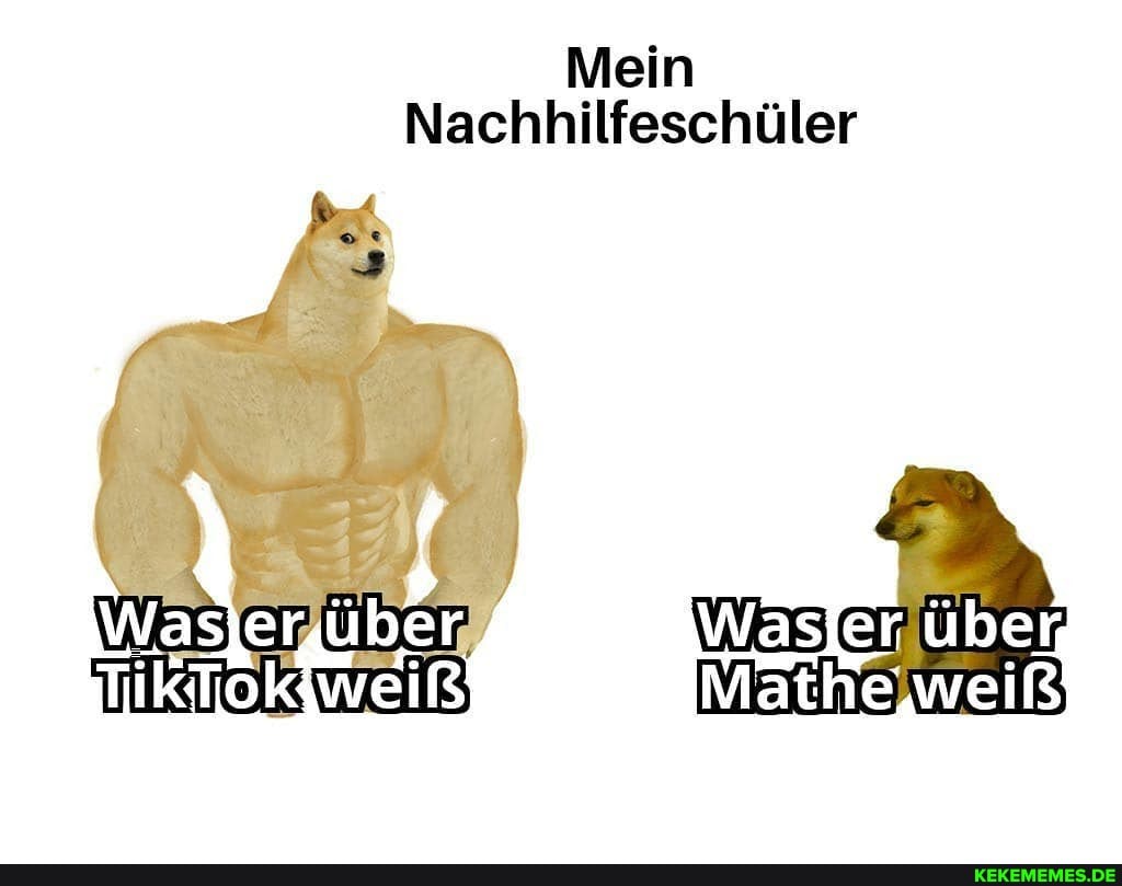 Mein
Nachhilfeschüler