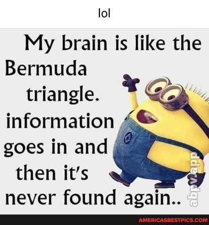 lol
My brain is like the
Bermuda
triangle.
information goes in and then it's
never found again..