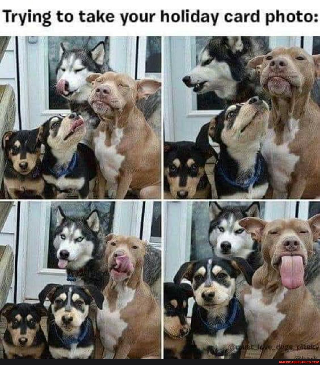 Trying to take your holiday card photo:
