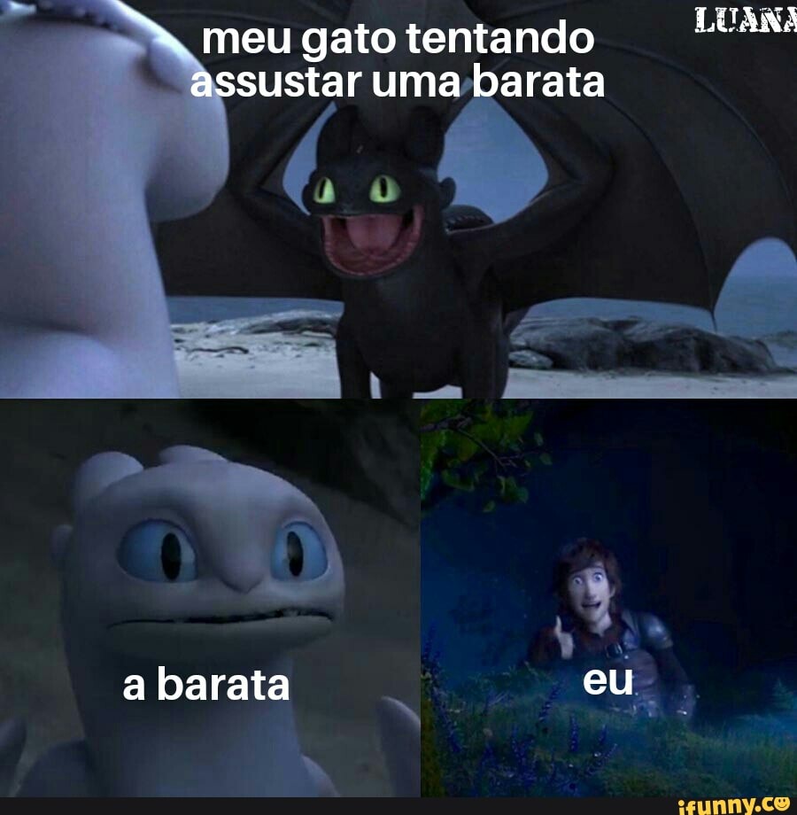 meu gato tentando ida
sustar uma-barata