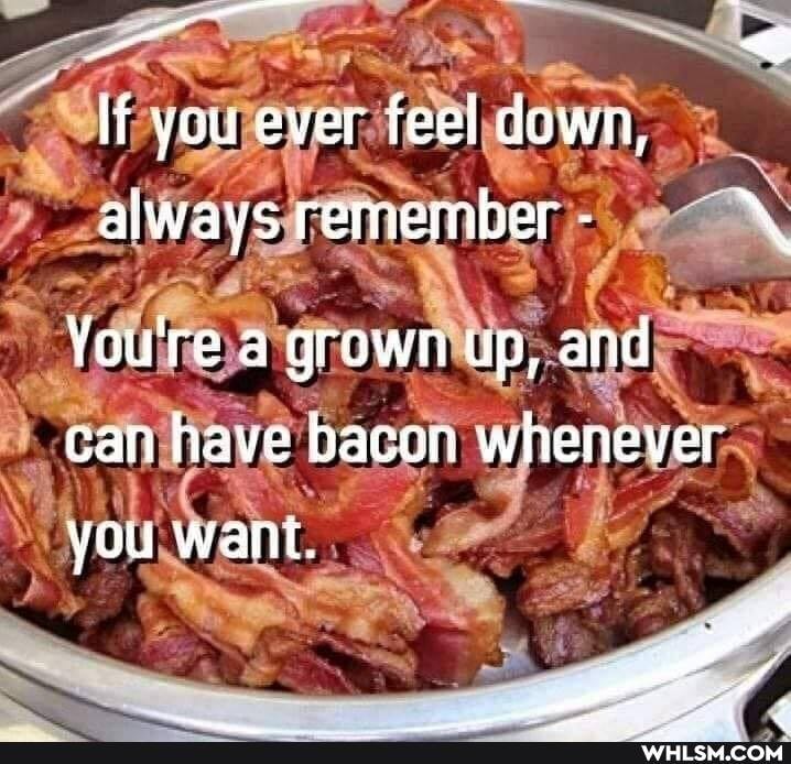 If you ever feel down, always remeiber -
You're a grown up, and can have bacon whenever you want.