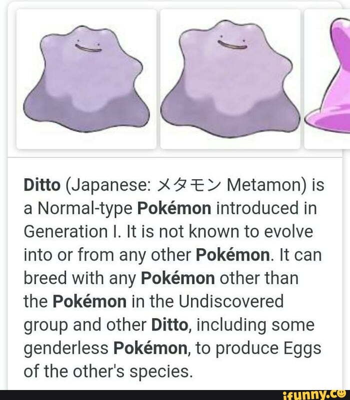 Pokemon Ditto evolution