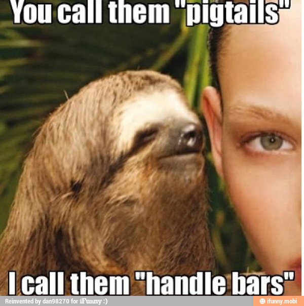 call them "handle bars: