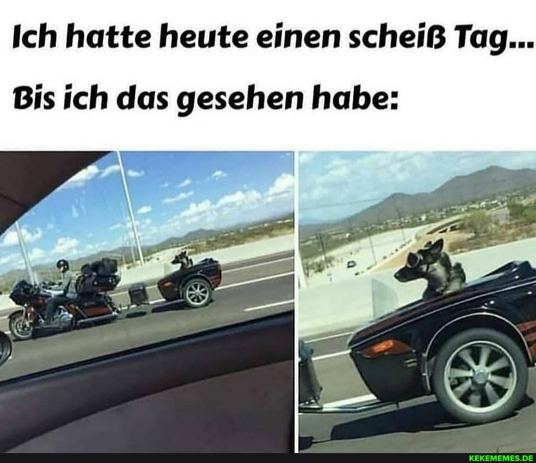 Ich hatte heute einen scheiß Tag...
Bis ich das gesehen habe: