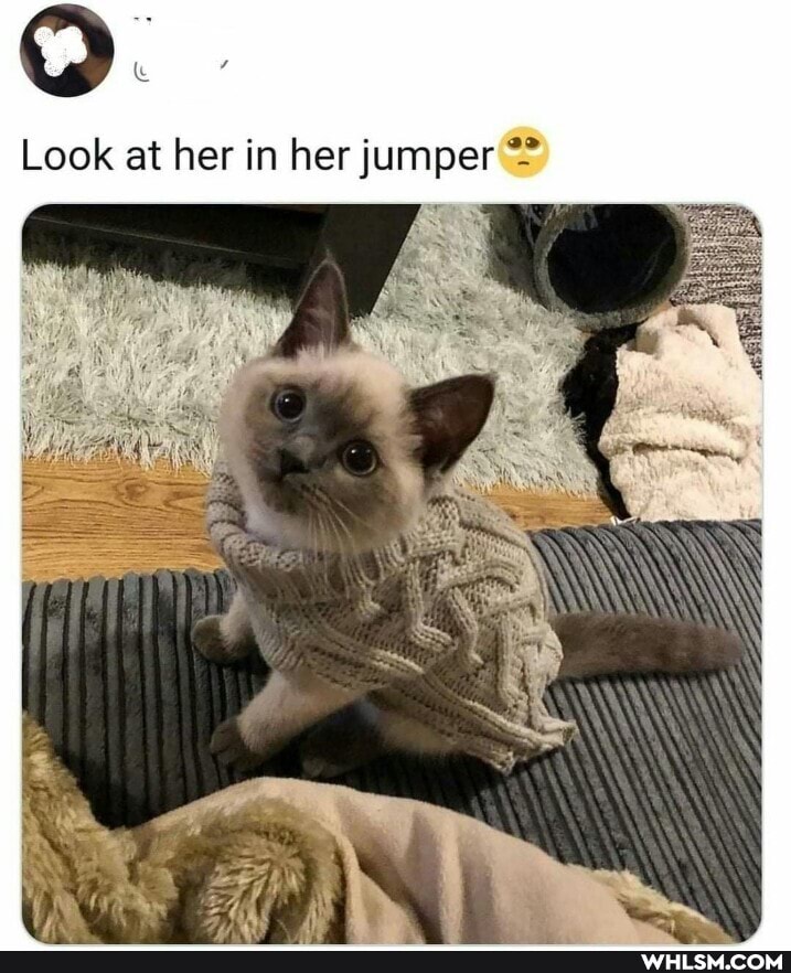 Look at her in her jumper
of