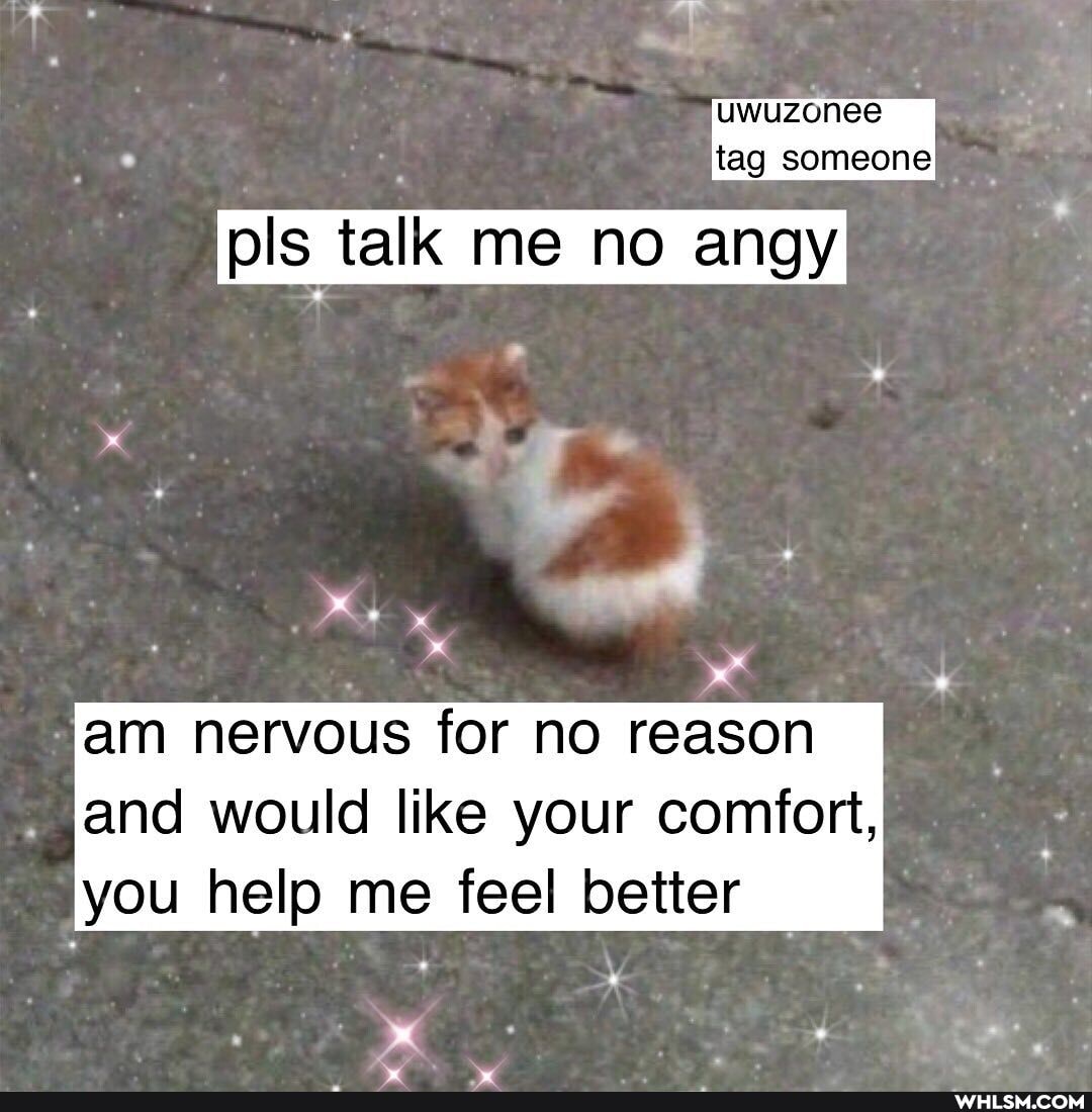 uwuzonee tag someone
pls talk me no angy
am nervous for no reason and would like your comfort, you help me feel better