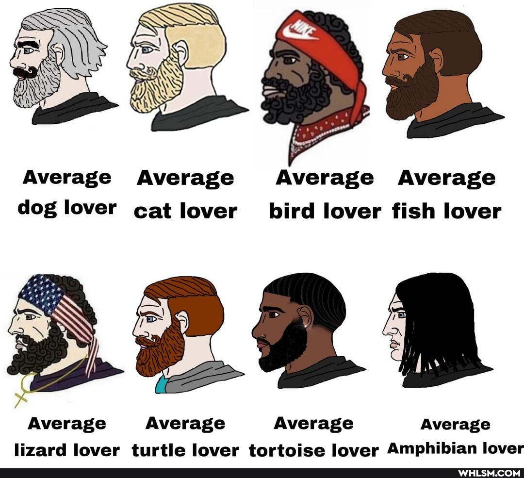Average Average Average Average dog lover cat lover bird lover fish lover
Average Average Average Average lizard lover turtle lover tortoise lover Amphibian lover