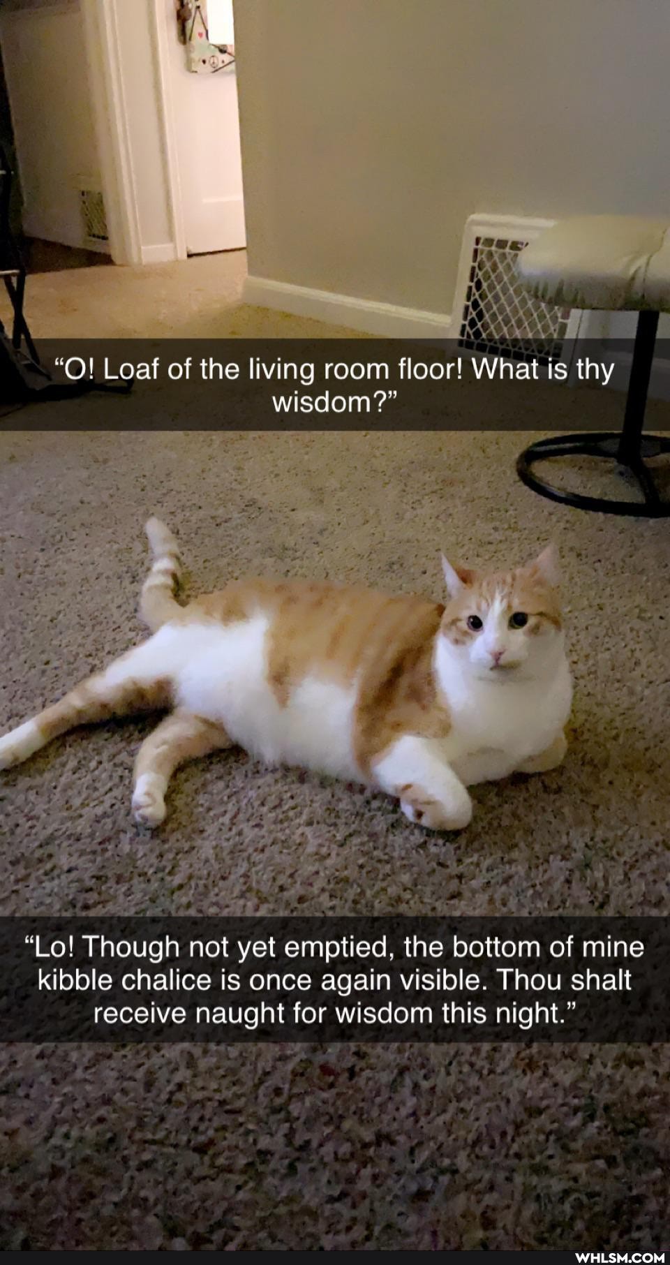 "O! Loaf of the living room floor! What is thy wisdom?"
"Lo! Though not yet emptied, the bottom of mine kibble chalice is once again visible. Thou shalt receive naught for wisdom this night."