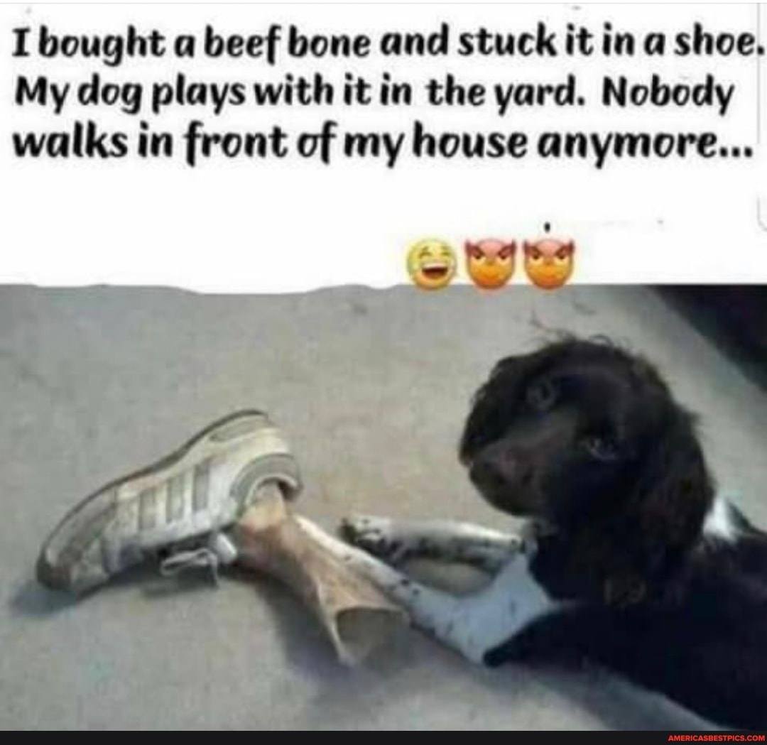 I bought a
beef bone and stuck it in a shoe,
My dog plays with it in the yard. Nobody
walks in front of my house anymore...