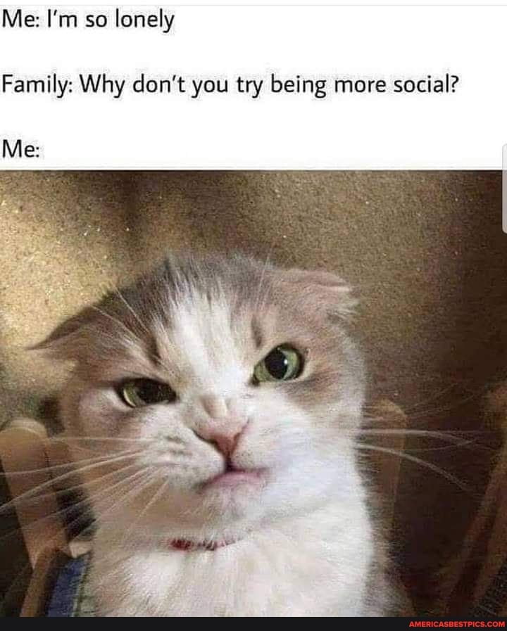Me: I'm so lonely
Family: Why don't you try being more social?