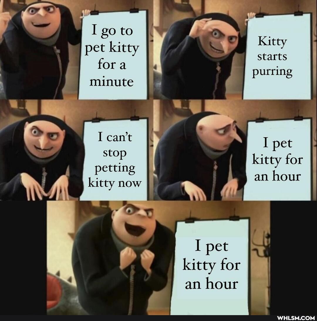 I go to pet kitty fora minute
I can't stop petting kitty now
kitty for an hour
Kitty starts
purring
I pet kitty for
an hour